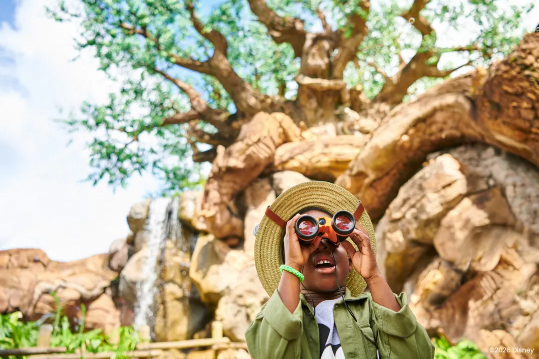Walt Disney World Resort Ticket - Walt Disney World Park Magic 2026