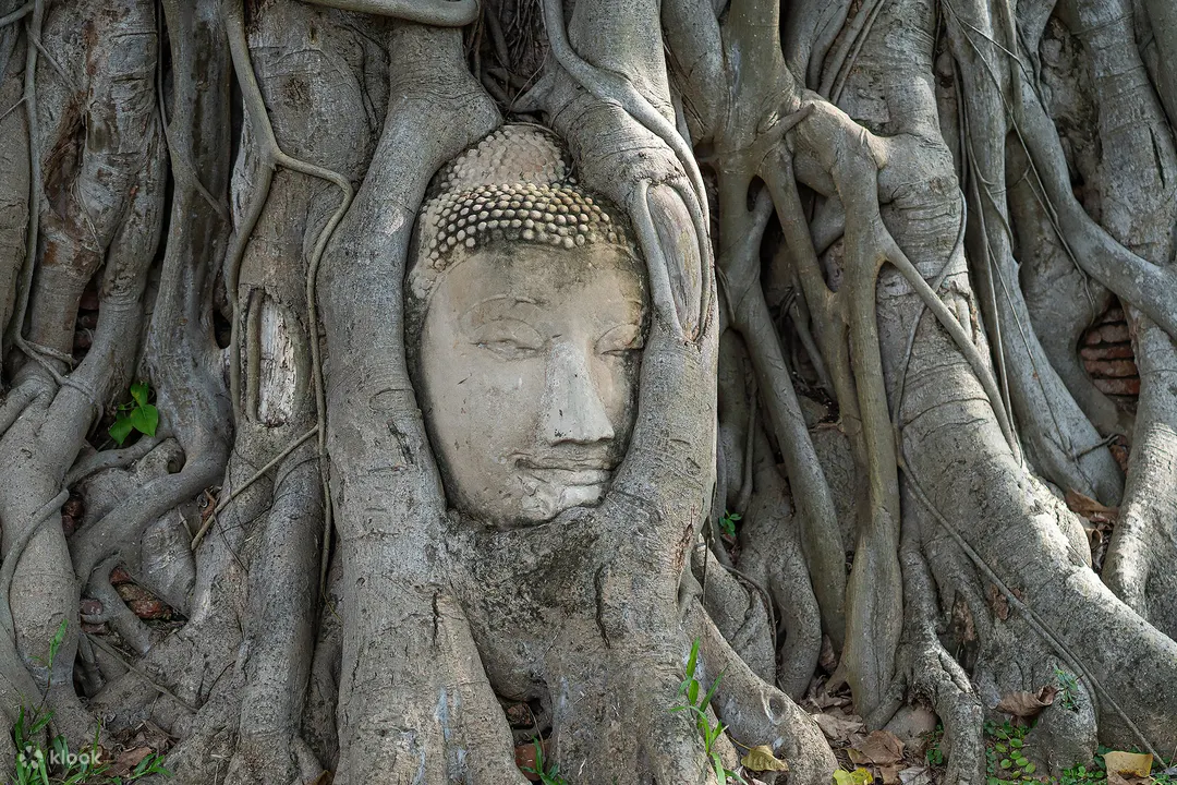 Day Trip Itinerary: Bangkok to Ayutthaya