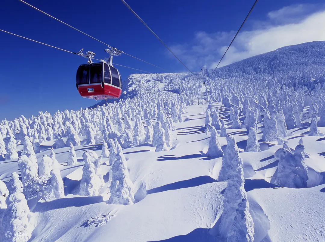 Zao Snow Monster Forest in Yamagata is one of the best Japan winter attractions