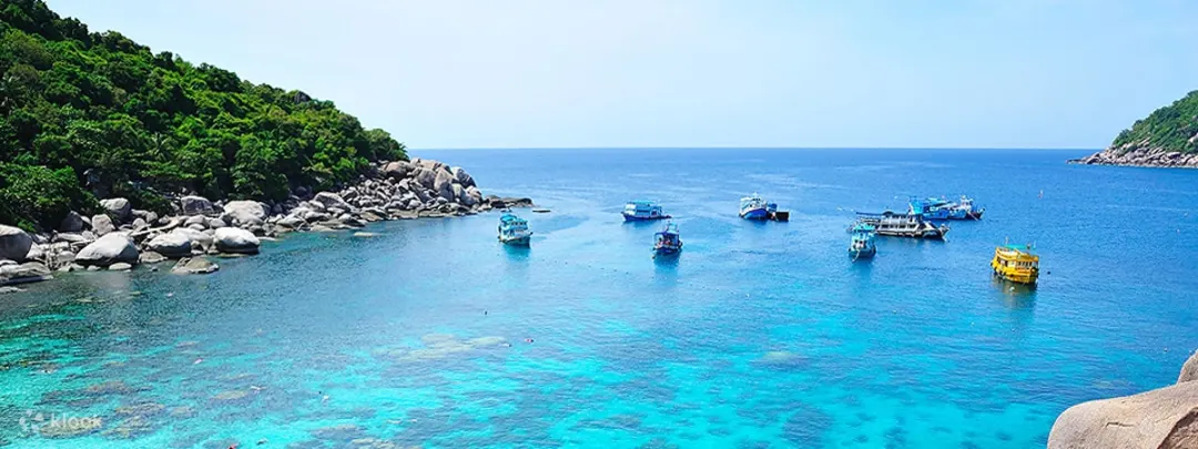 From Samui: Koh Tao and Koh Nangyuan Tour Snorkeling by Catamaran
