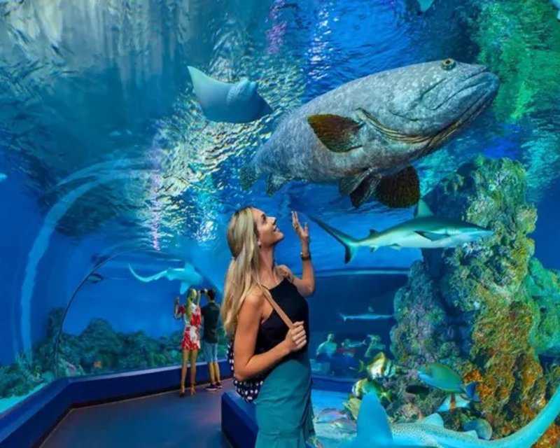 Best things to do in Cairns 2021 Attractions & activities Klook Australia