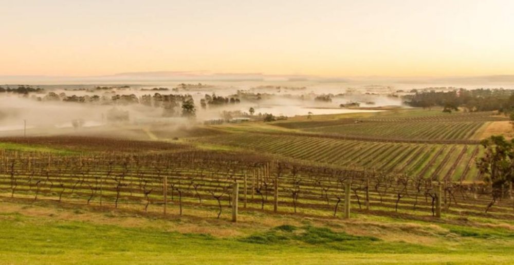 Hunter Valley Wine School