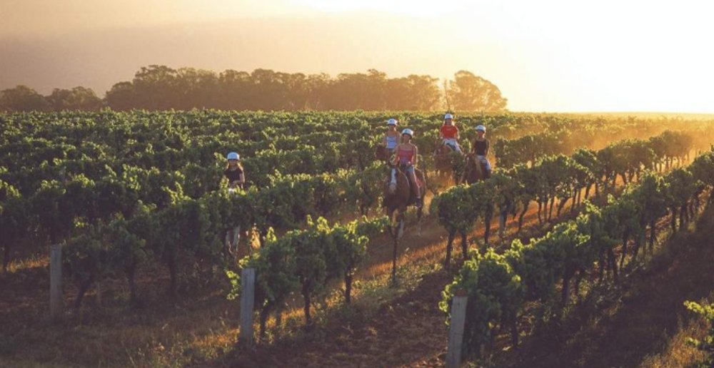 Hunter Valley horseriding