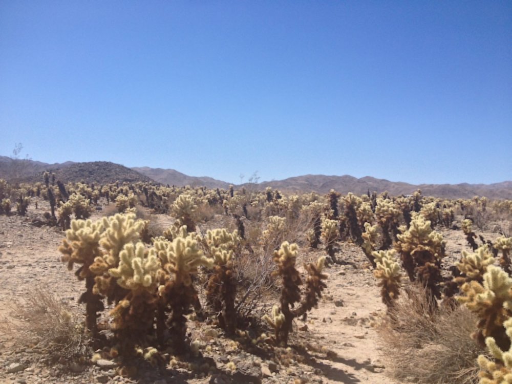 day trips from los angeles 