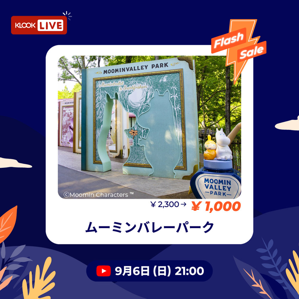 ムーミンバレーパーク 入園チケット