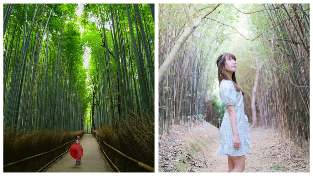 像京都嵐山竹林的河背水塘家樂徑