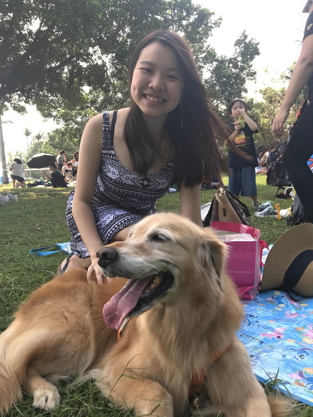 數碼港海濱公園野餐寵物勝地