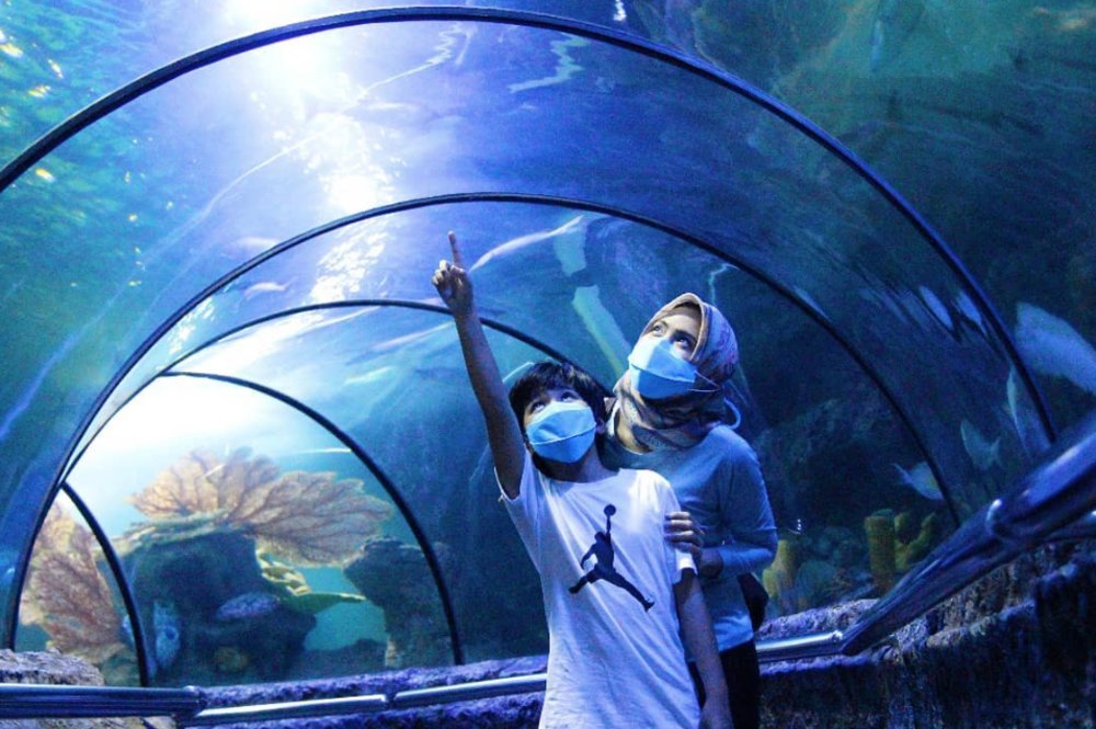 Seaworld Ancol Tunnel