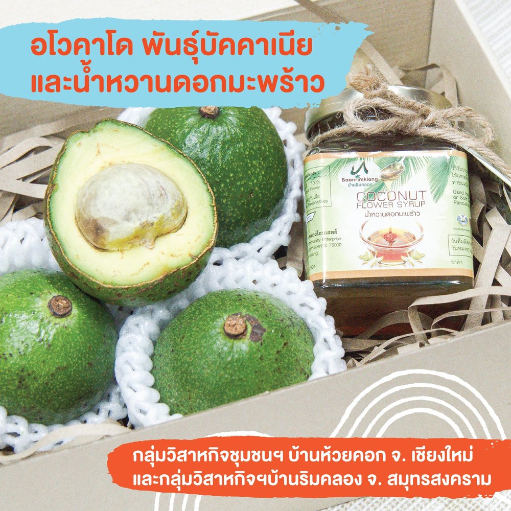 อโวคาโด พันธุ์บัคคาเนียและน้ำหวานดอกมะพร้าว