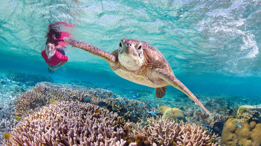 great barrier reef Tourism Australia