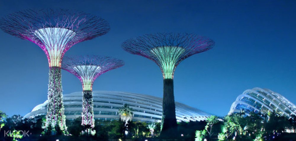 things to do marina bay gardens by the bay 1