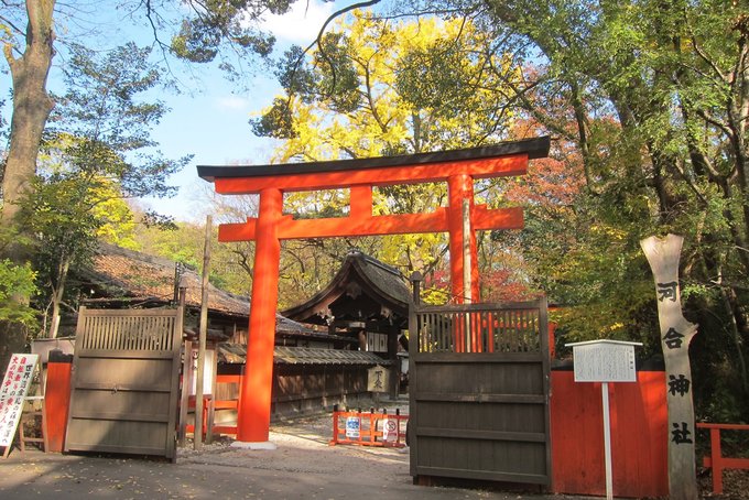 河合神社就在糺之森入口的左手邊　Photographer / safu