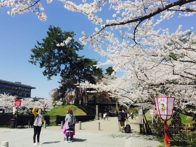 弘前城追手門。 Photographer | Zach Huang