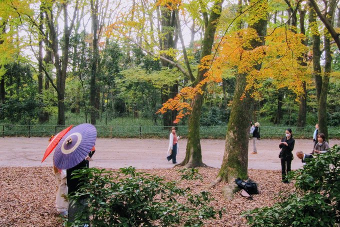 在糺之森中拍結婚照的新人 Photographer / safu