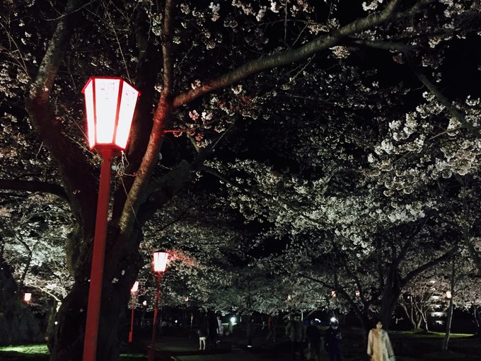 夜遊盛岡城跡公園。 Photographer | Zach Huang