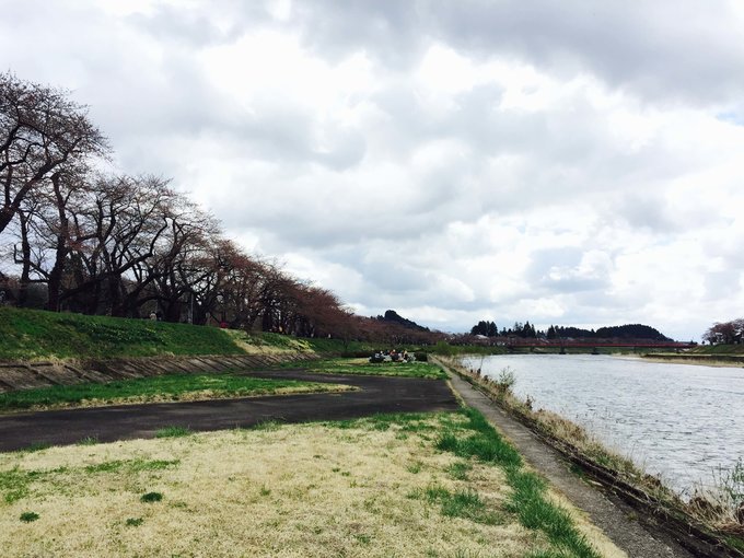 光禿禿的檜木內川堤 。 Photographer | Zach Huang