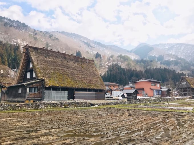 shirakawako-shoryudo-buss