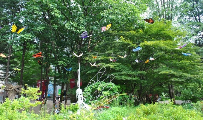 festival bươm bướm hampyeong trên đảo nami
