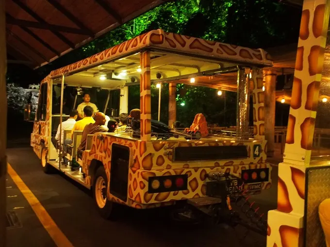 singapore night safari là một trong những điểm đến ở singapore cho hội độc thân