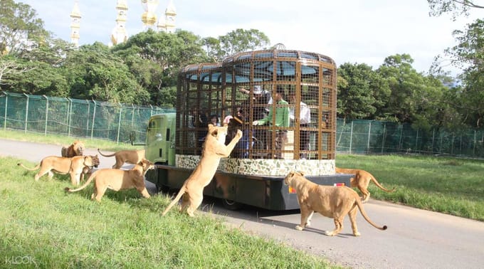 vui chơi ở công viên giải trí leofoo village là một bí kíp du lịch đài loan