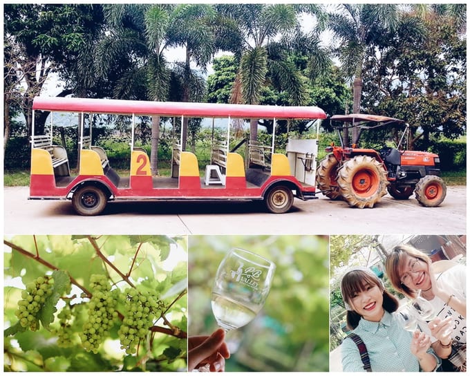 du lịch khao yai - xe wine tour