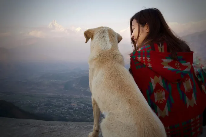 du lịch nepal: bạn chó ở sarangkot