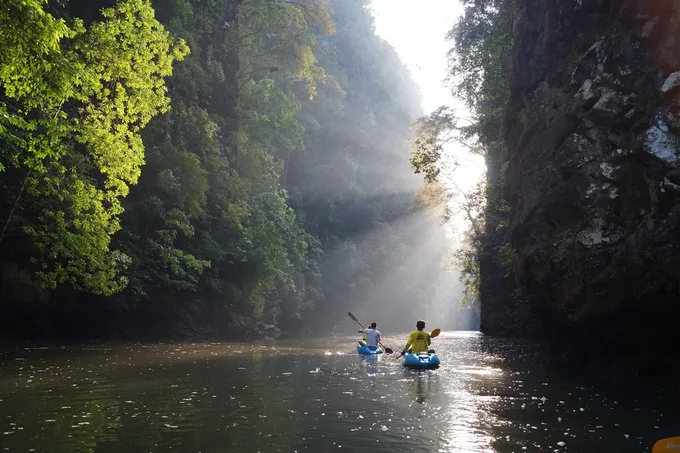 kinh nghiệm đi krabi chèo thuyền kayak tại rừng ngập mặn