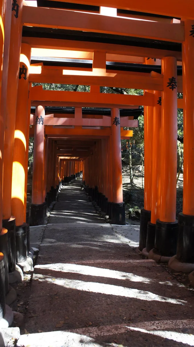 tổng torii là địa điểm thú vị trong chuyến ngắm hoa anh đào