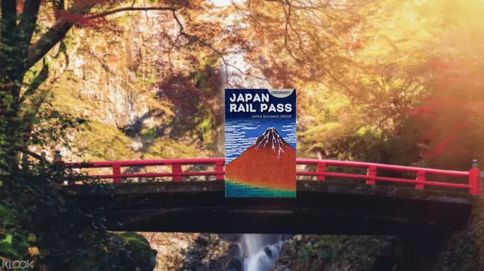 hoạt động săn hoa anh đào ở nhật bản: japan rail pass
