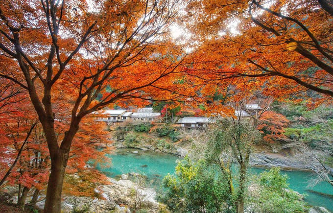 ngắm lá đỏ ở arashimaya trong lịch trình ngắm mùa thu ở kyoto