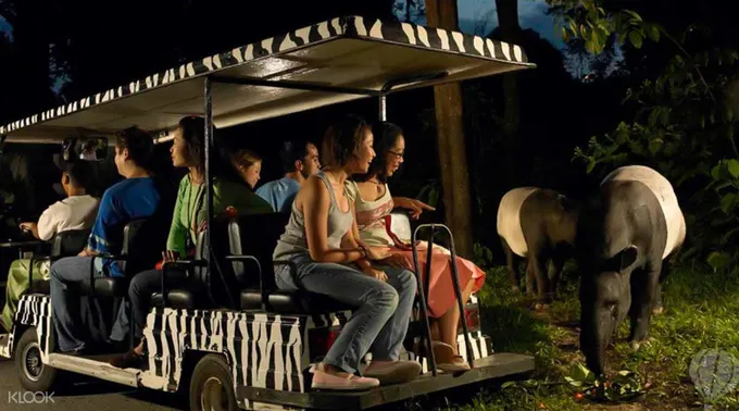 phiêu lươu tại night safari trong lịch trình du lịch singapore 3 ngày dành cho gia đình