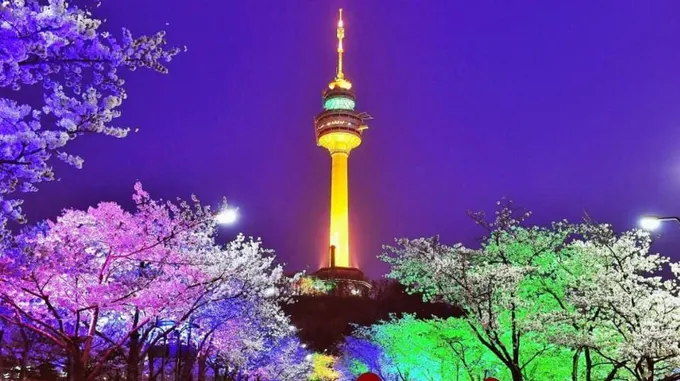 tháp N Seoul vào ban đêm