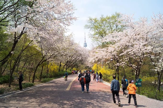 tháp N Seoul nhìn từ công viên Namsan