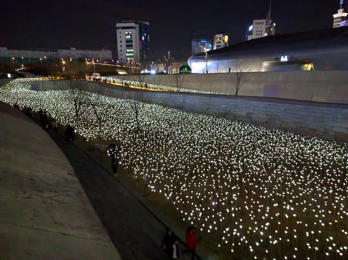 triển lãm về đêm tại dongdaemun design plaza