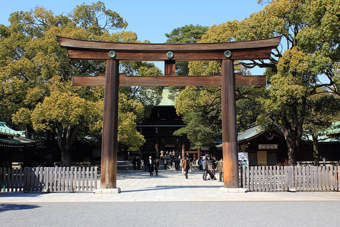 cổng đền meiji jingu