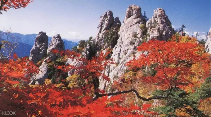 lá đỏ mùa thu tại núi Seoraksan 