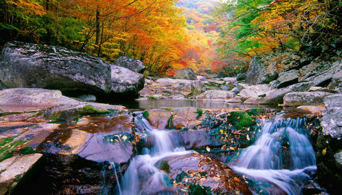 suối và rừng lá đỏ tại núi Jirisan 
