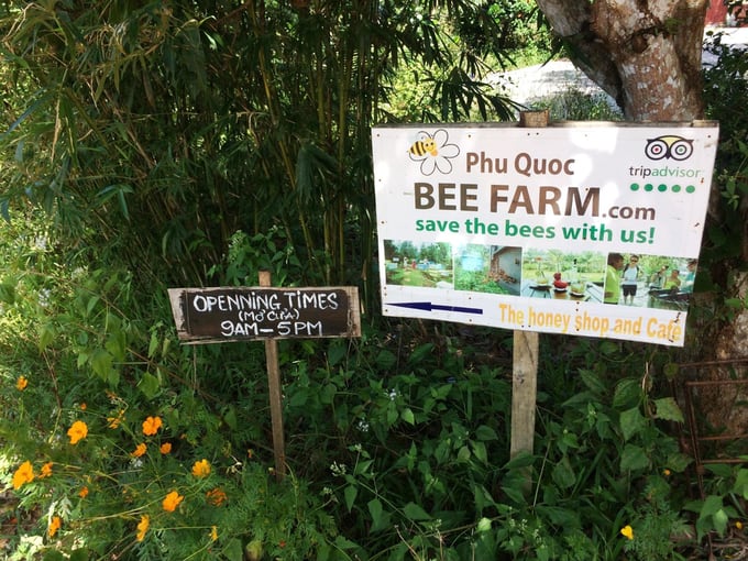 vườn ong phú quốc