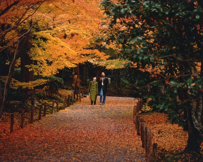 Romantic Autumn Couple Seoul Korea