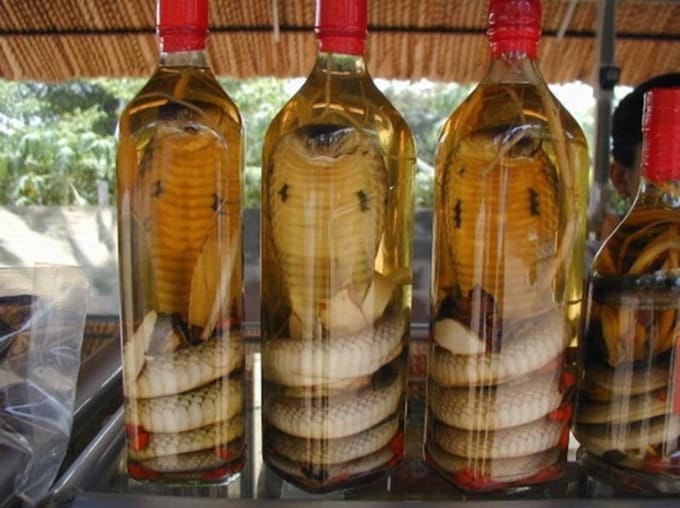 Cobra Snake Brewed Snake Wine
