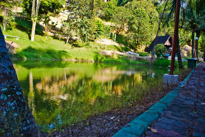 Dusuntara Jungle Retreat