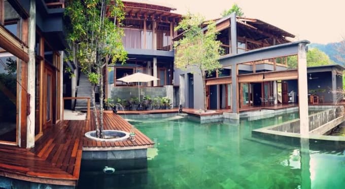 the shorea