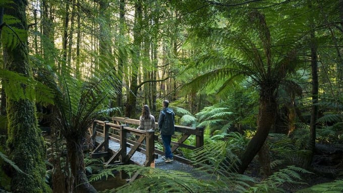 dandenong melbourne day trips victoria