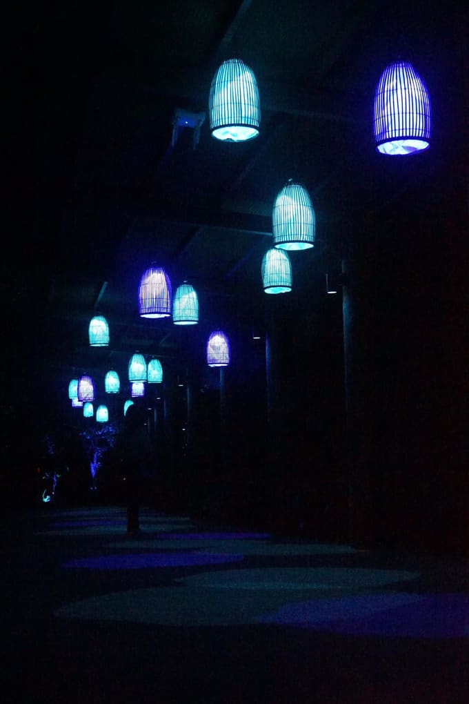 Rainforest Lumina Lantern Passage Singapore Zoo