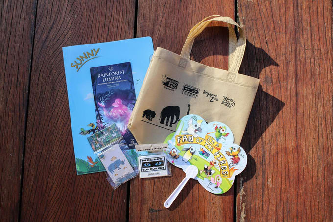 Rainforest Lumina Klook Goodie Bag