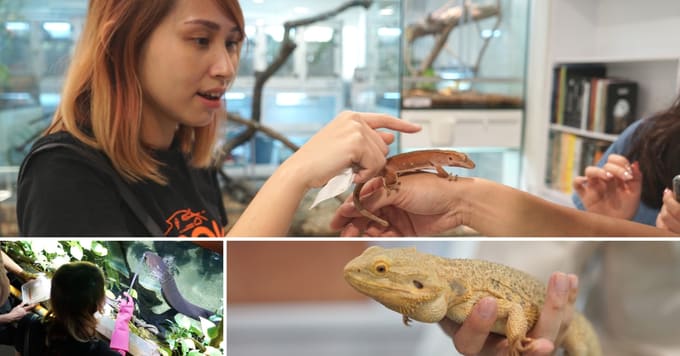 PH Travel Fest WRS Cover Image