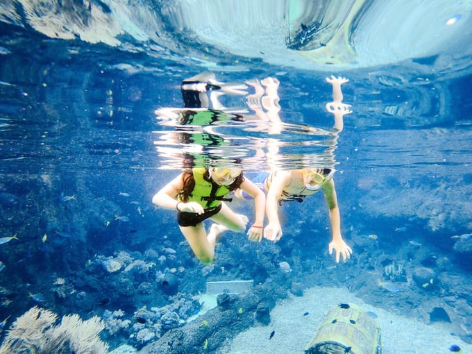 adventure cove waterpark