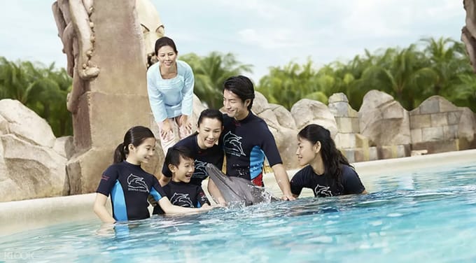 adventure cove waterpark