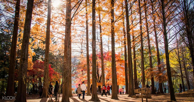 seoul budget itinerary