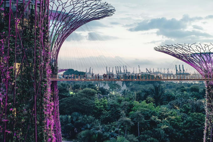 gardens by the bay